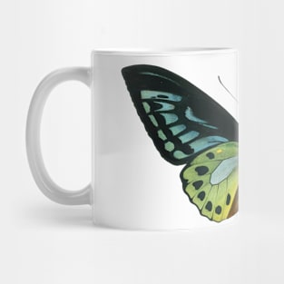 butterfly Mug